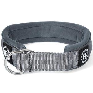 BullyBillows 4cm Slip On Collar